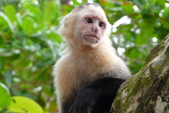 nature-wildlife-safari-float-tour-from-la-fortuna-arenal