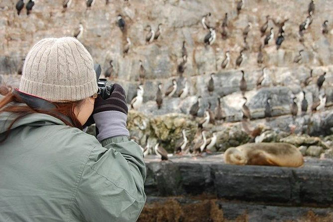 navigation-beagle-channel-isla-de-lobos