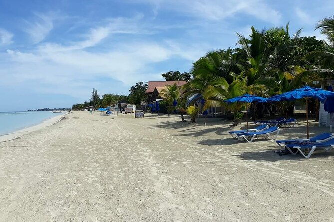 negril-7-miles-beach-and-ricks-cafe-tour