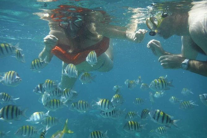 negril-lobster-lunch-on-booby-cay-snorkeling-to-a-sunken-cannon