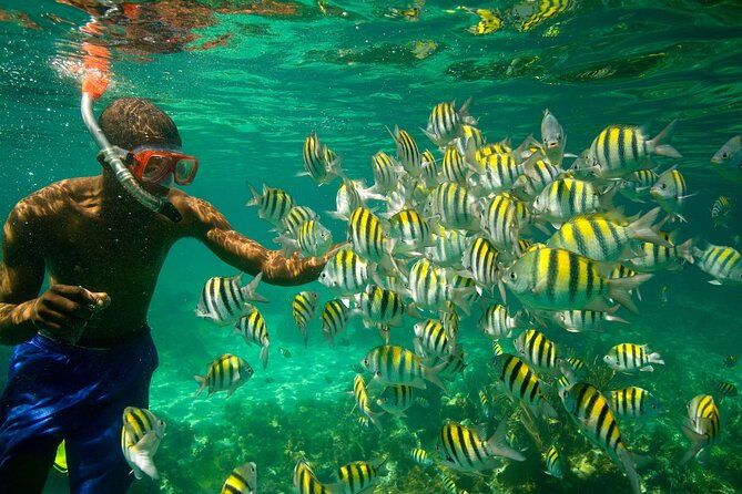 negril-seven-miles-beach-snorkeling-boat-ride-ricks-cafe-combo