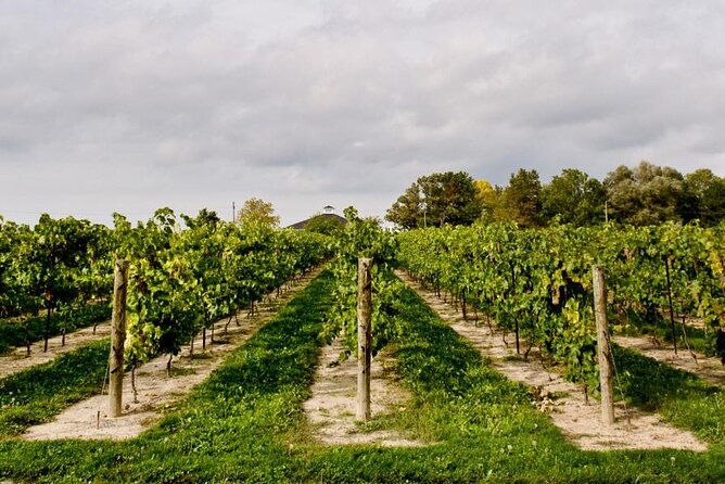 niagara-county-wine-tour-and-tasting