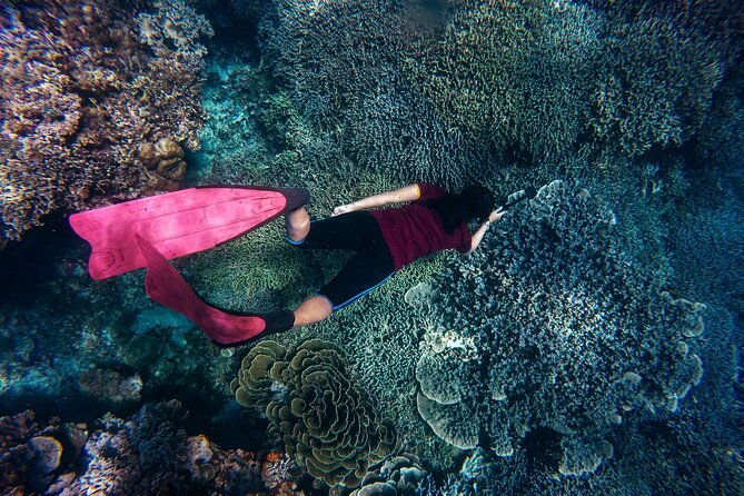 night-time-snorkel-at-turtletown-with-stars-lights-and-photos