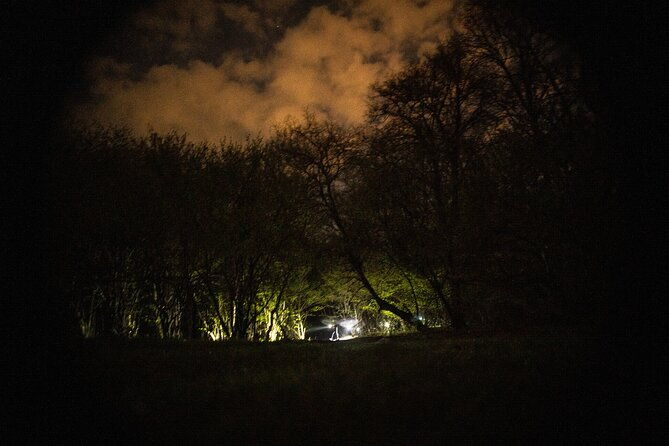 night-tour-in-hoia-baciu-forest