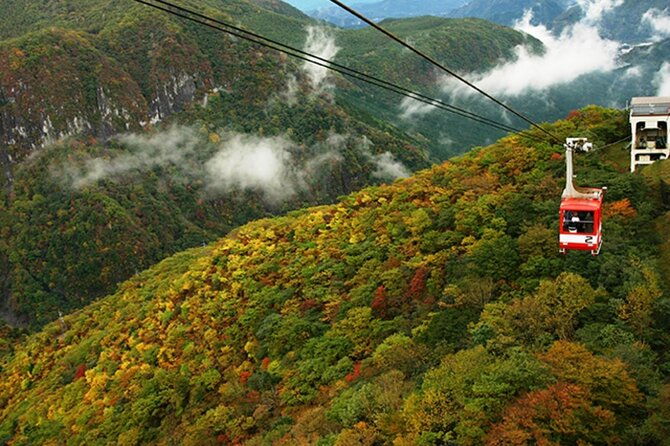 nikko-full-day-customize-private-tour