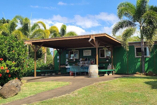 north-shore-farm-anahulu-river-kayak-sup-turtles-lunch-more
