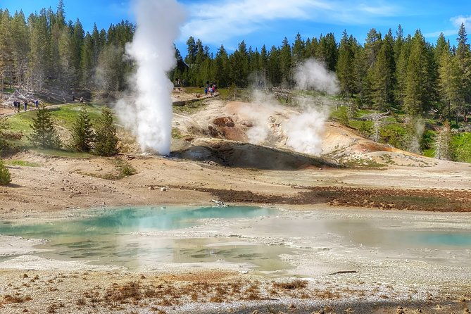 north-yellowstone-day-tour-lamar-valley-private-day-tour