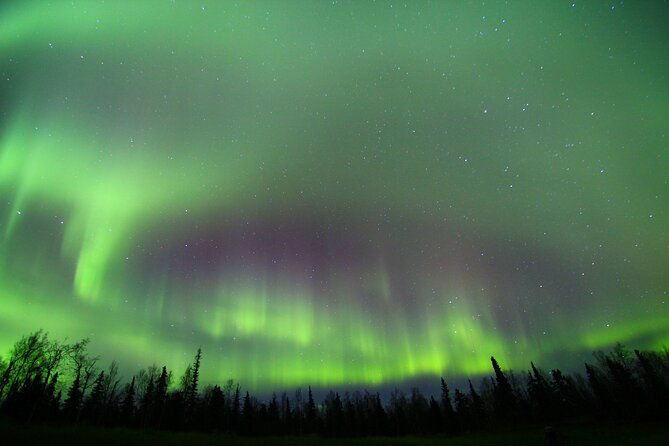 northern-lights-and-chena-hot-springs-night-tour-from-fairbanks