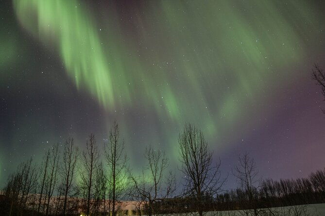 northern-lights-classic-tour-from-akureyri