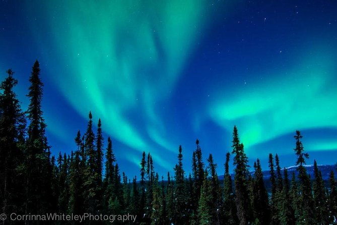 northern-lights-experience-and-cabin-dinner-2