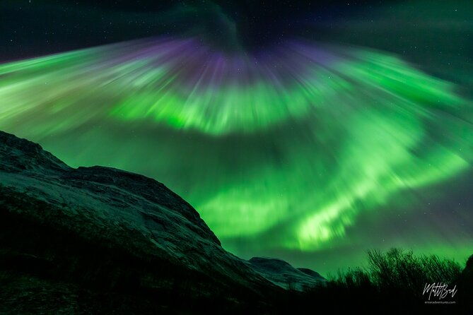 northern-lights-guided-bus-tour-with-snacks-hot-drinks