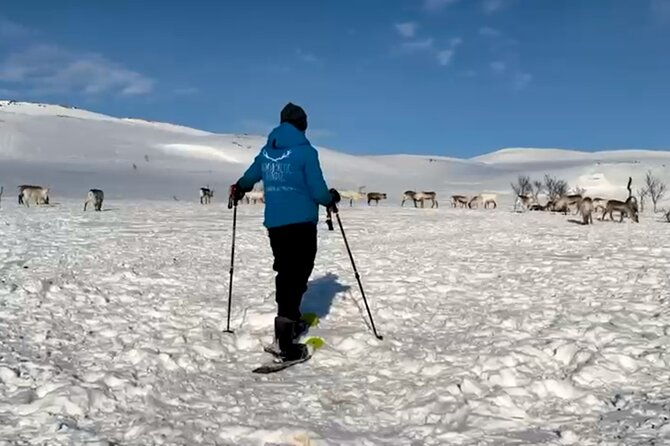 norway-troms-snowshoe-activity-with-guided-tour