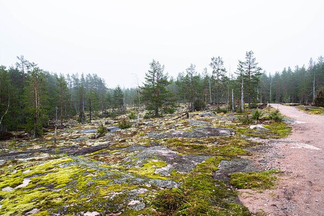 nuuksio-national-park-hiking-experience-from-helsinki-2