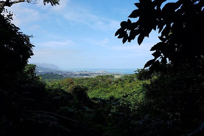 oahu-hidden-waterfall-hike-a-tropical-paradise-adventure