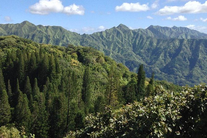 oahu-volcanic-rainforest-hiking-adventure