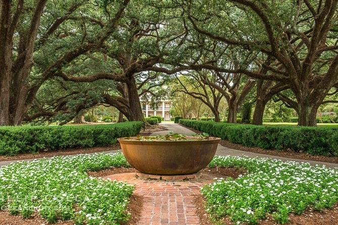 oak-alley-plantation-and-swamp-boat-tour-from-new-orleans