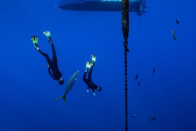 offshore-safari-adventure-in-kona-with-underwater-photos