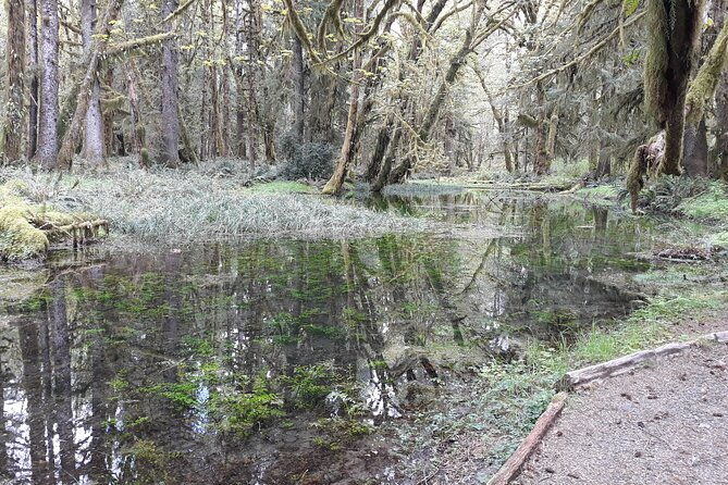 olympic-peninsula-and-forest-tour-2