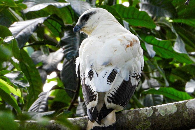 one-day-adventure-in-corcovado-national-park