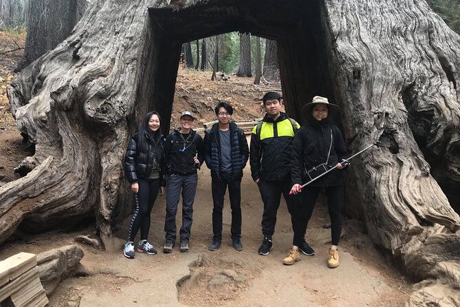 one-day-in-yosemite-private-touryosemite-valley-glacier-point-giant-sequoias-2