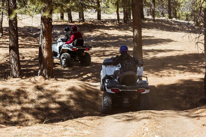 one-hour-guided-atv-ride-in-utah