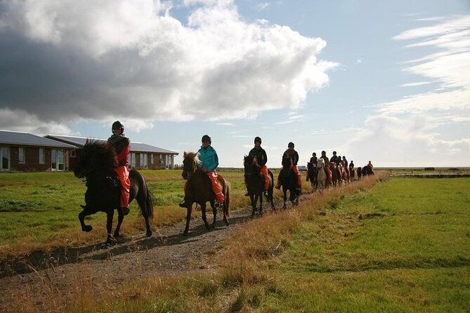 one-hour-horseback-riding-tour-in-the-icelandic-countryside-3