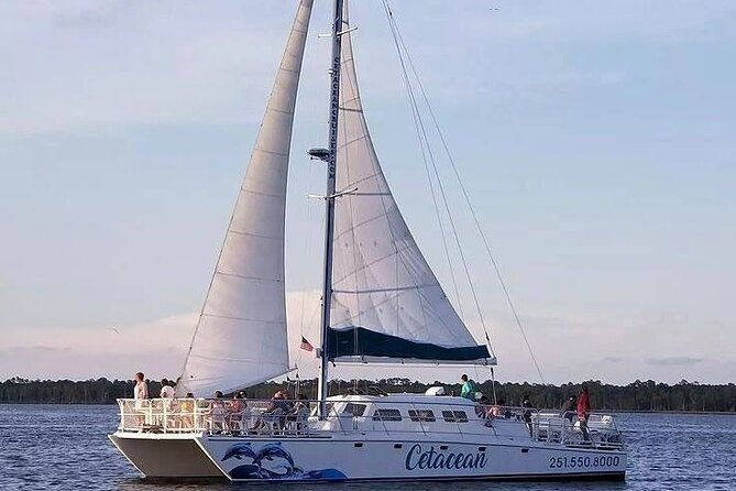 orange-beach-dolphin-sailing-cruise-aboard-catamaran