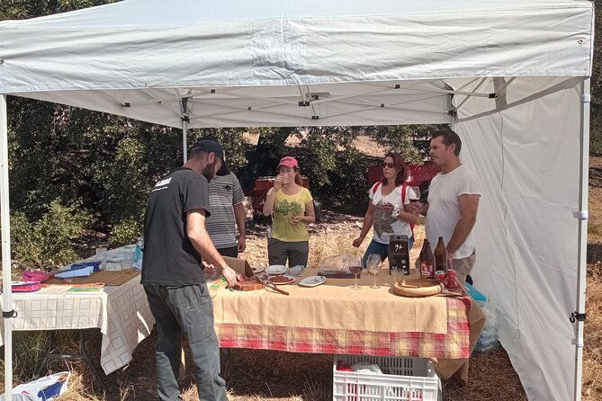 organic-iberian-ham-farm-visit-and-premium-tasting