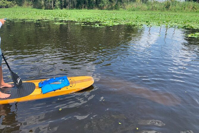 orlando-manatee-and-olde-florida-history-adventure-tour