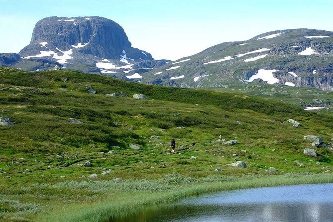 oslo-to-sognefjord-private-full-day-roundtrip-including-flam-railway