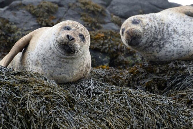 over-the-sea-to-secret-skye-2