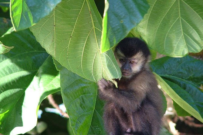 overnight-iguazu-falls-from-puerto-iguazu