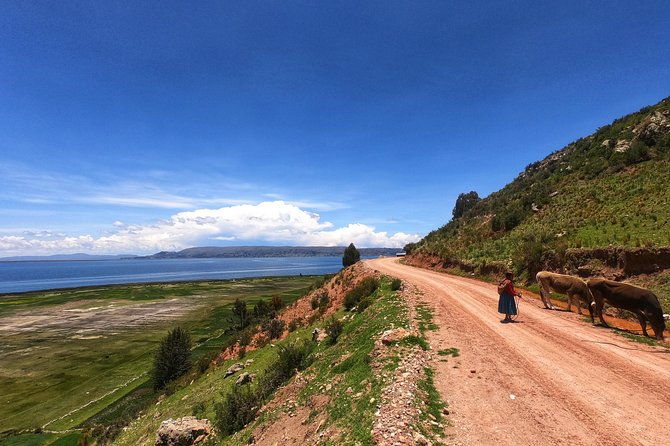overnight-luquina-island-homestay-experience-from-puno