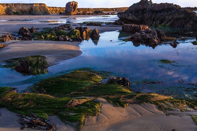 pacific-coast-highway-smartphone-audio-tour-la-to-santa-maria
