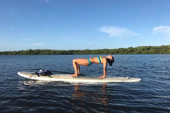paddle-boarding-rentals
