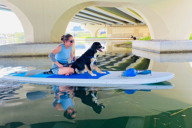 paddle-with-pups-in-paradise-paddleboard-or-kayak