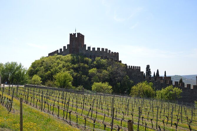 pagus-wine-tours-soave-and-amarone-half-day-wine-tour