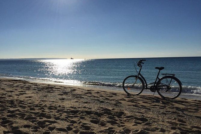 palma-de-mallorca-3-hour-highlights-and-tapas-tasting-bike-tour