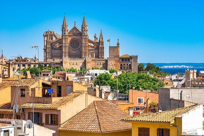 palma-de-mallorca-must-see-attractions-walking-tour-with-a-guide