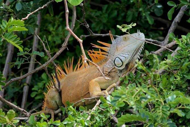 palo-verde-national-park-by-costa-rica-xplores