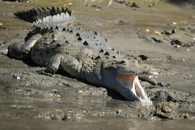 palo-verde-national-park-safari-boat-tour