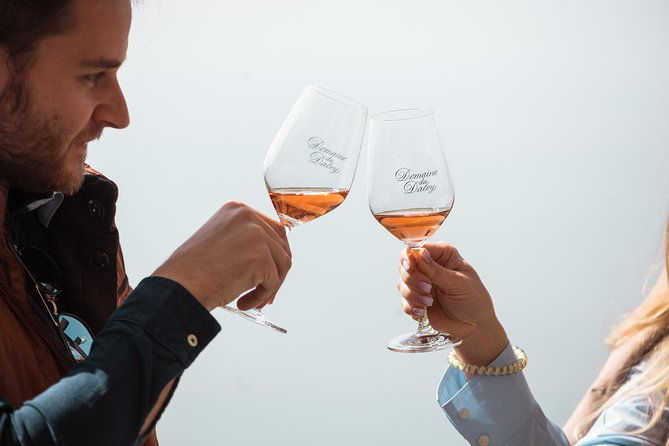panoramic-wine-tour-from-lausanne-2