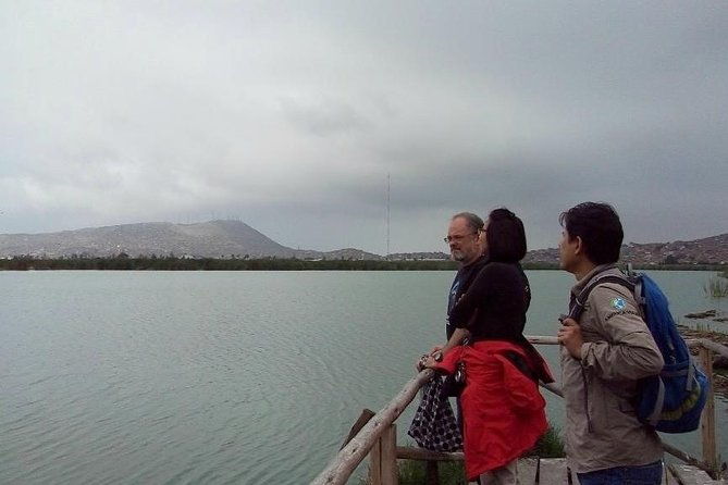pantanos-de-villa-wildlife-refuge-tour-in-lima
