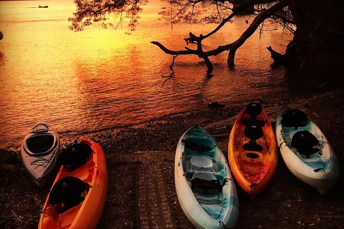 paquera-sunset-and-full-moon-kayak-tour