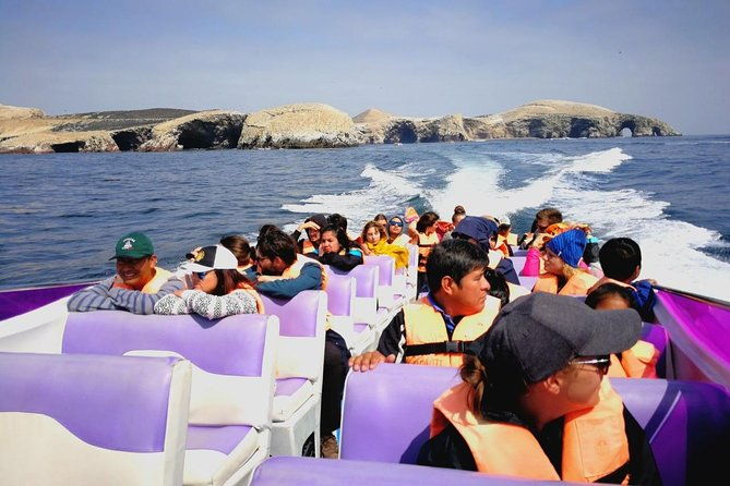 paracas-fullday-ballestas-islands-and-national-park-in-minibuggy