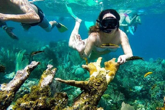 paradise-island-cayo-arena-mangroves-from-puerto-plata-full-day