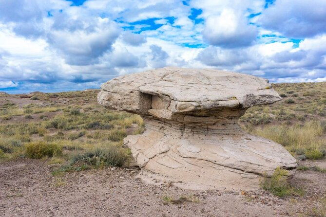 petrified-forest-national-park-self-guided-driving-audio-tour
