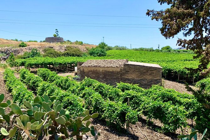 piazza-armerina-and-winery-private-tour-starting-from-agrigento