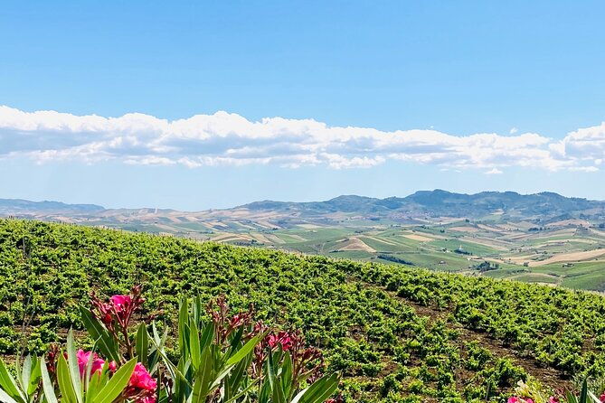 picnic-in-an-organic-winery-in-alcamo