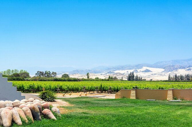 pisco-route-la-caravedo-tacama-and-nietto-vineyard